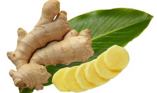 ginger-extract