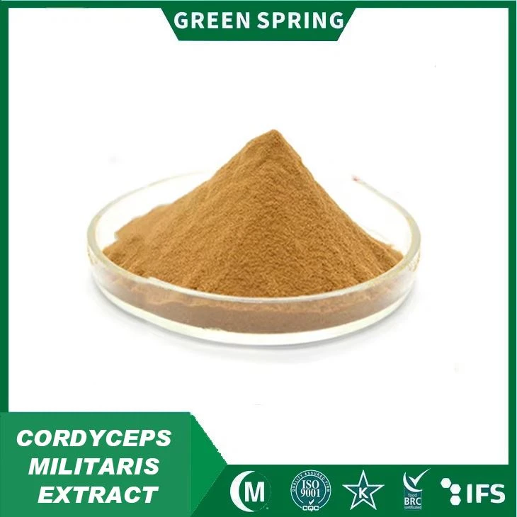 Cordyceps Militaris -uutejauhe
