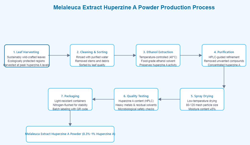Melaleuca Extract Huperzine A Powder Melaleuca Extract Huperzine A Powder